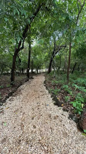 Chacra em condomínio beira lago