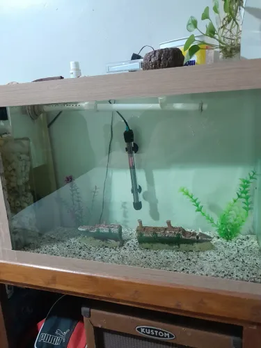 Aquário 120 L Com Sump lateral 