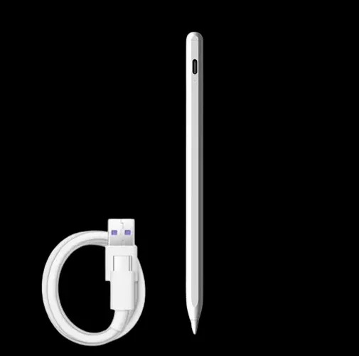 Caneta capacitiva iPad de Rejeição de Palma