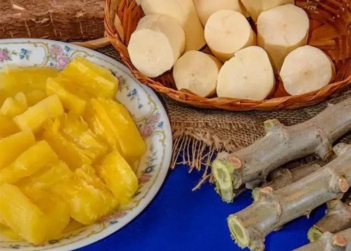 rama da mandioca vassorinha em Goiania