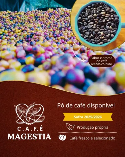 Café 100% arábica Direto da Zona da Mata Mineira. Pacote 500g em pó ou grãos 