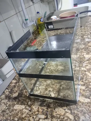 Aquário de tartaruga tigre de água
