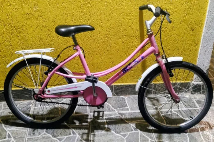 Bicicleta ceci aro 20 lindinha