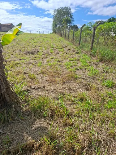 Terreno Pilar do Sul
