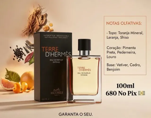 Perfume Importado Masculino - Hermès Terre d'Hermès EDT 100m
