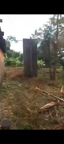 Vendo chácara
