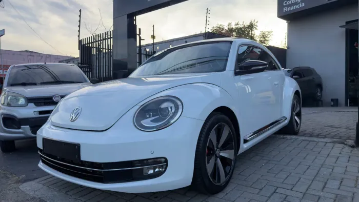 Volkswagen Fusca 2.0 TSI 16V Aut. 2014