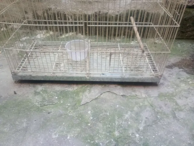 Vendo gaiola de passarinho