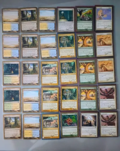 Magic the gathering deck dos campeões 2003 Daniel zink