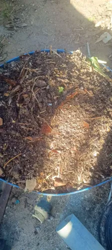 Adubo organico