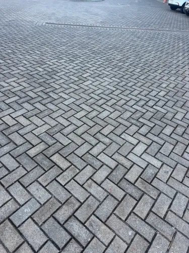 Blocos paver