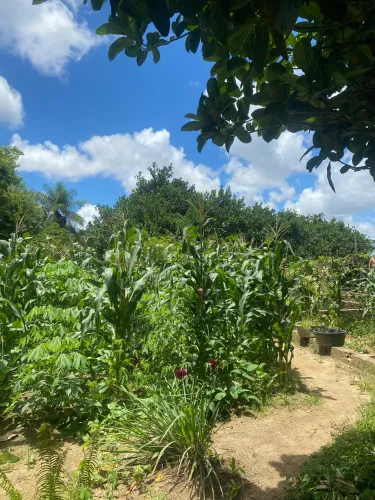 Vende-se Sitio