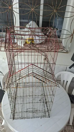Gaiola para galopsita
