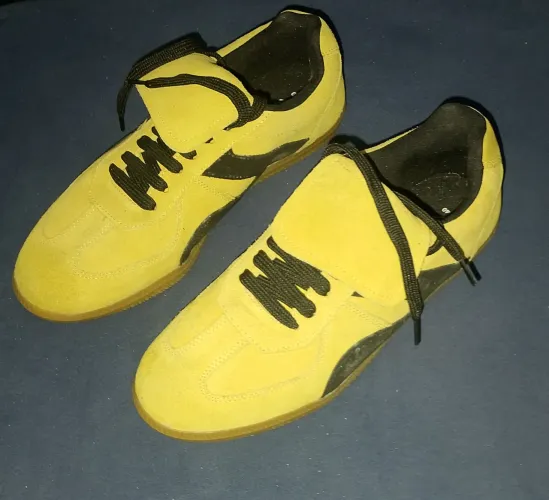 Tenis