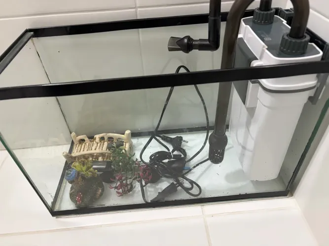 Aquário