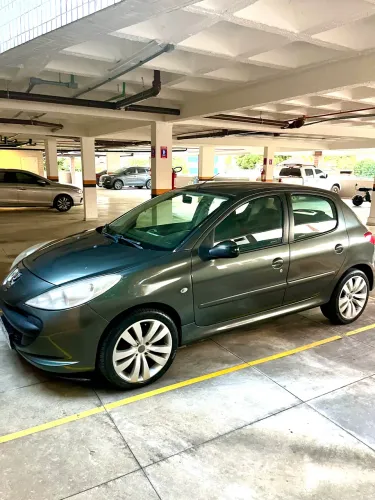 Peugeot 207 XR 1.4 Flex 8V 5P 2009