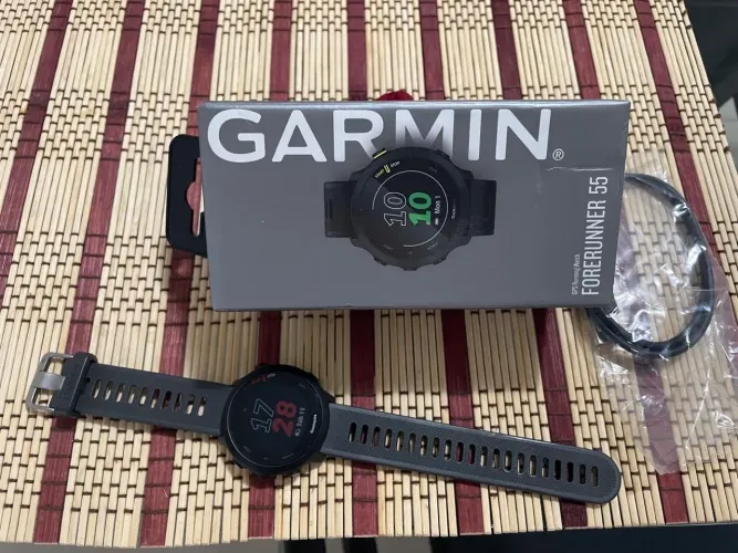 Garmin 55