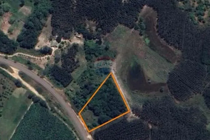 TERRENO À VENDA EM ITANAGRA/BA ( PROX A BA 099 )