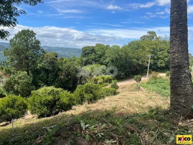 TERRENO PARA VENDA EM NOVA PETRÓPOLIS / RS NO BAIRRO PINHAL ALTO