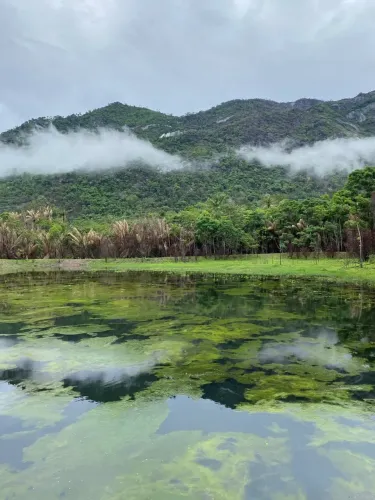 Arrendamento de Lago com 10.000m2 para criacao de peixe
