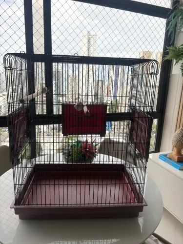 Gaiola para passarinho.