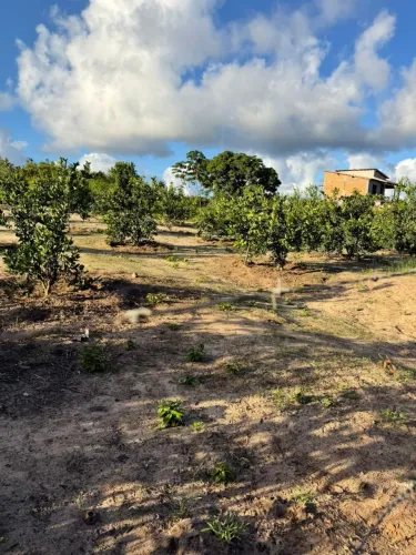 Vende-se Terreno 20x30