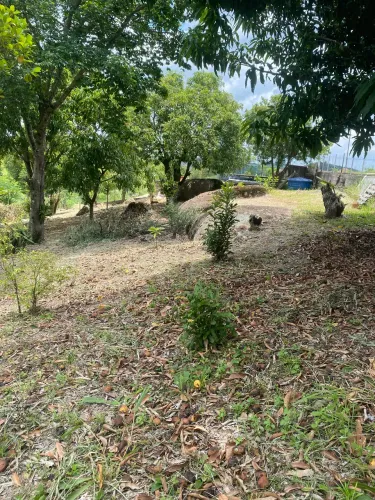 Vende - se 2 terrenos 376m CADA