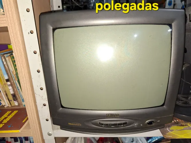 Tv de tubo, bivolt, 14 pol