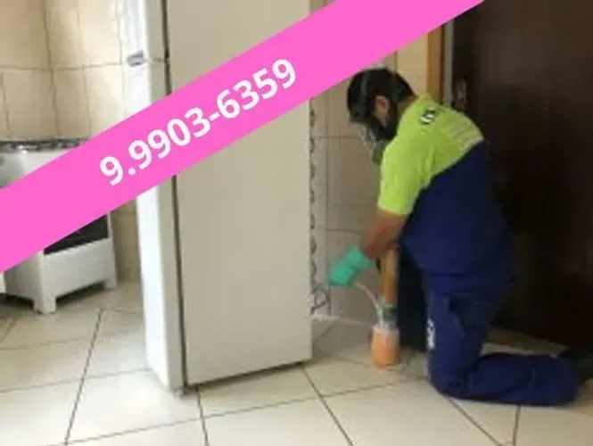 Dedetização