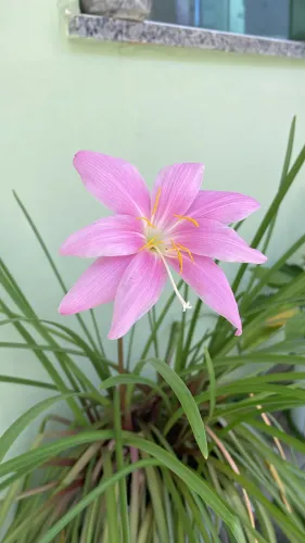 Estamos contratando manicure, interessados entrar em contato 