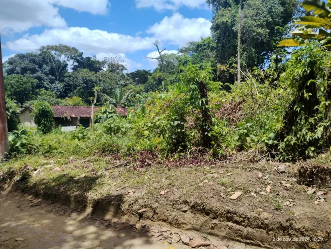 Lote de terreno bem localizado, local seguro e tranquilo, falta apenas capinar!!
