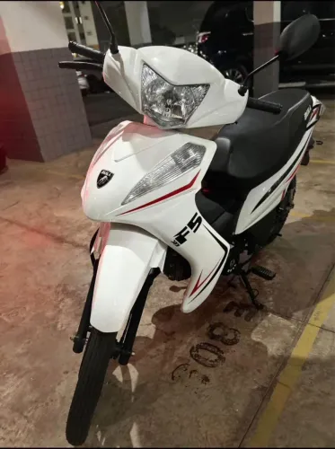 Bull 50 