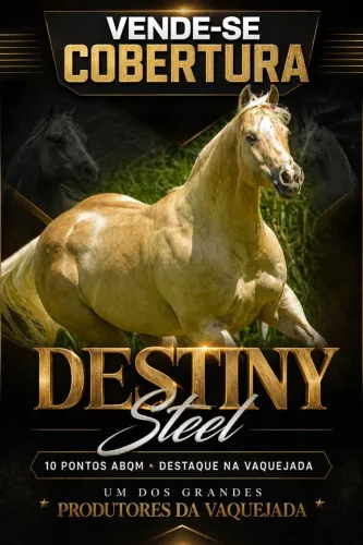 COBERTURA DO DESTINY STEEL E DON DIEGO TORO 