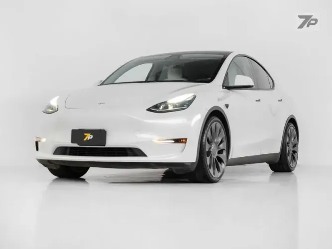Tesla Model Y Performance 2021