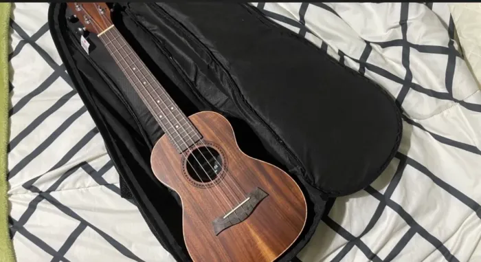 UKULELE STRINBERG uk16ce concert elétrico
