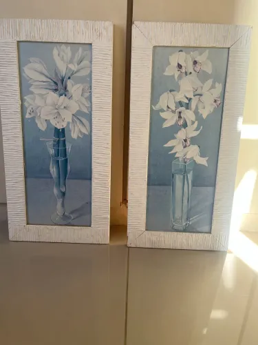 Dupla de Quadros Flores