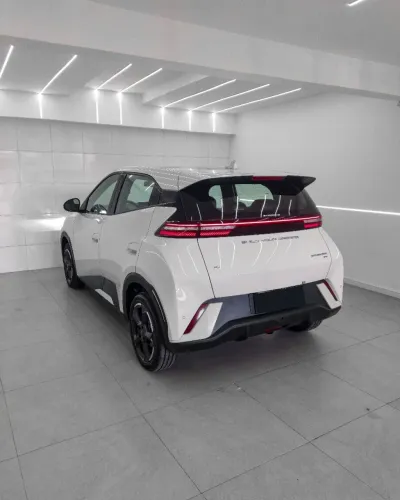 BYD Dolphin Mini (Elétrico) 2025