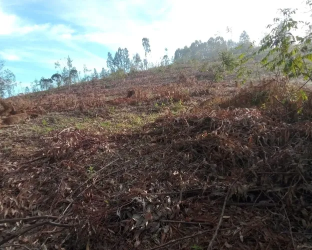 CHÁCARA À VENDA EM TIBAGI