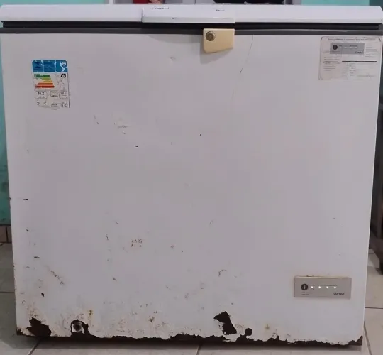 Freezer 309L