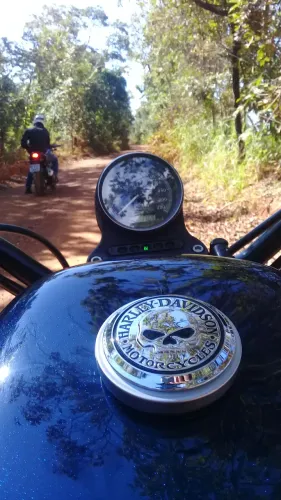 Harley Davidson Iron Sportster