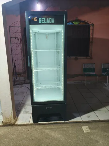 Freezer vertical metal frio