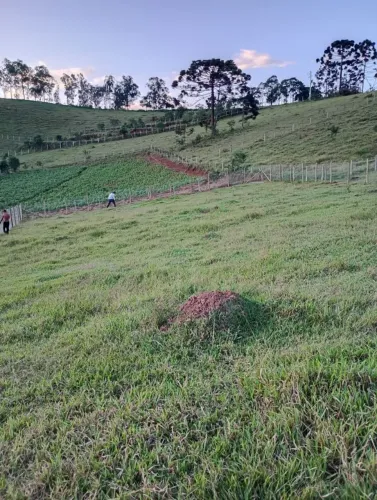 Terreno
