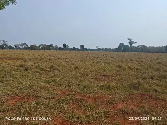 Fazenda 1.305ha (Parte ideal) em Dois Irmãos do Buriti/MS