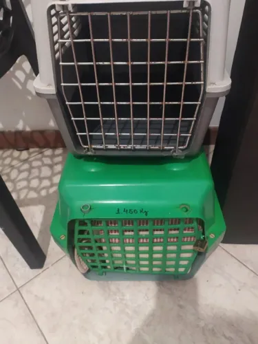 Caixa de transporte cachorro