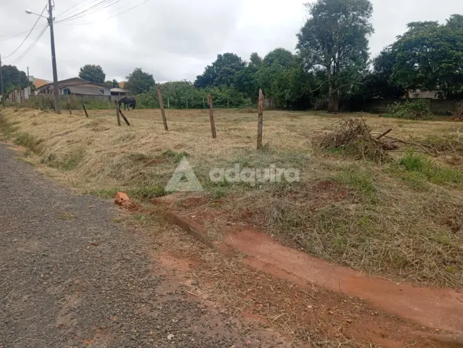 Terreno à Venda - Bairro Cará-Cará I Ponta Grossa/PR