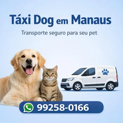 Táxi Dog