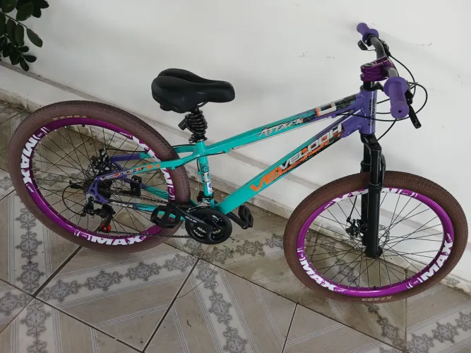 Bicicleta