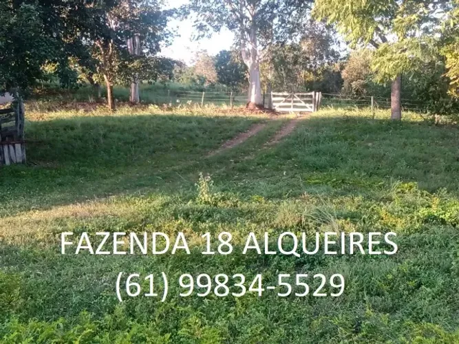Fazenda 18 Alqueires Formada Niquelândia Goiás