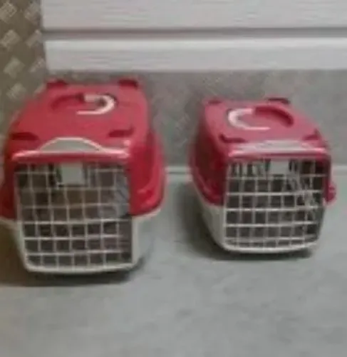 Caixa Transporte para Pet