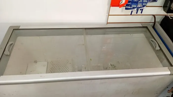 Freezer horizontal
